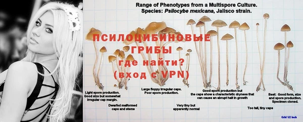 хмурый Снежинск